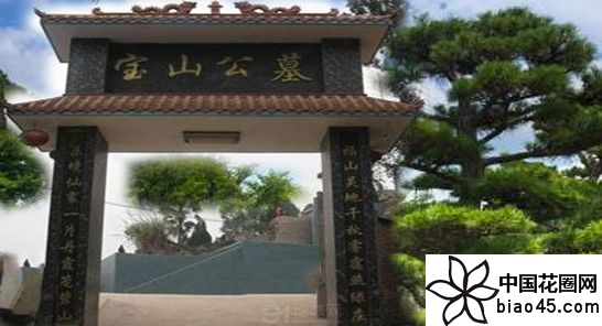 重庆宝山公墓